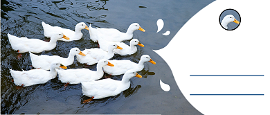 简约立春节气公众号首图背景