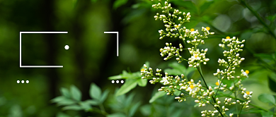 早安新媒体配图背景