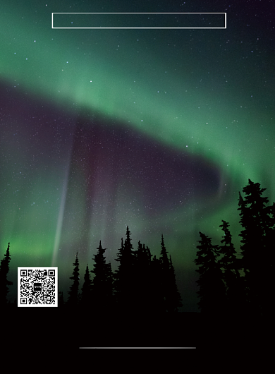 简约绿色追逐极光旅游促销海报模板背景