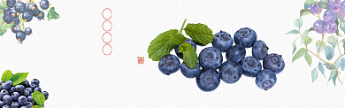 简约蓝莓水果促销banner背景