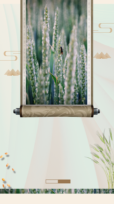 小满夏至大暑小暑节气麦子麦穗节气宣传海报背景