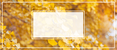 十月你好公众号首图背景