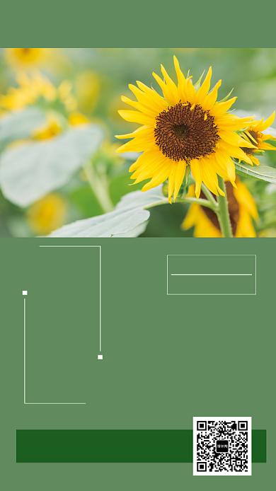 每日一签祝福手机海报背景