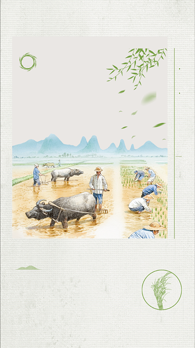 小满节气小清新绿色稻子手机海报背景