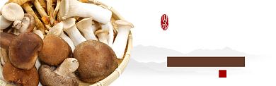 棕色蔬菜农产品野生菌蘑菇促销banner背景
