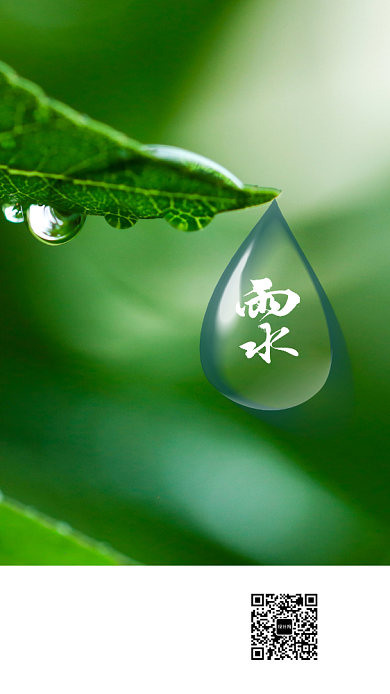 简约雨水手机海报背景
