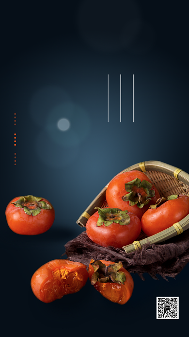 深色简洁大气霜降节气海报图背景