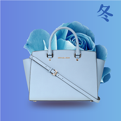 高端女士包包宣传直通车背景