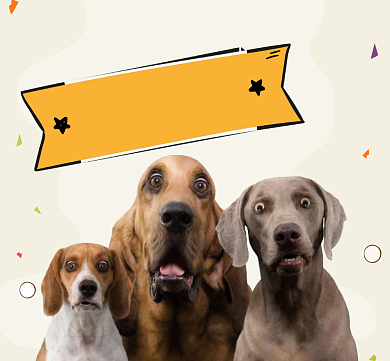 狗我和我的小伙伴都惊呆了朋友圈封面背景