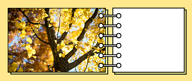 扁平秋分节气公众号首图背景