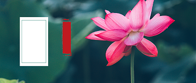 二十四节气处暑荷花公众号首图背景