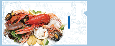 海鲜优惠券背景