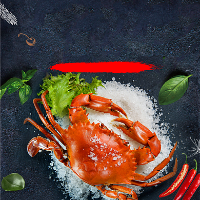 阳澄湖大闸蟹促销淘宝直通车图片背景