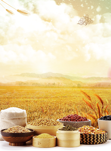 五谷杂粮促销海报背景