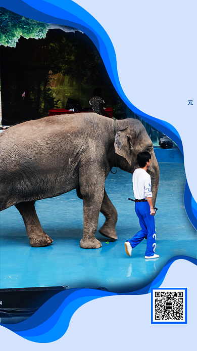 新年出国游手机宣传海报背景