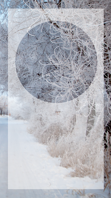 小雪传统节气宣传手机海报背景