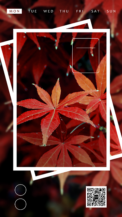 简约清新风日签海报背景