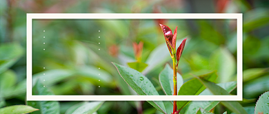 雨水节气公众号首图背景