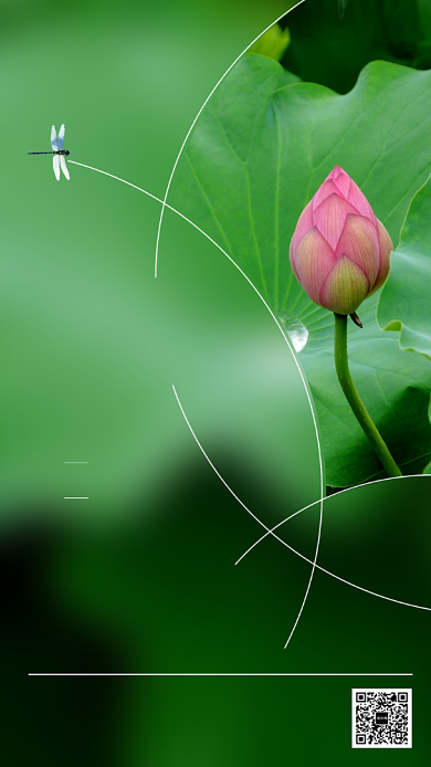 地产大暑节气庭院湖景海报背景