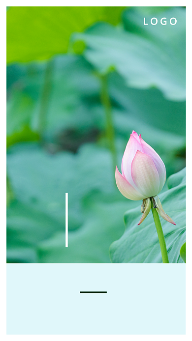 夏日荷花极简励志日签月签手机海报背景