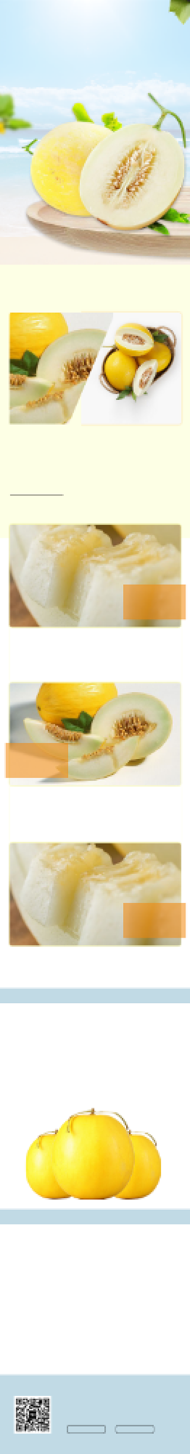 清新风格哈密瓜电商淘宝详情页背景