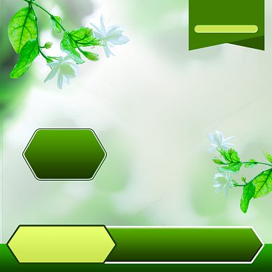 新品上新绿色电商淘宝主图背景