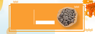 优惠券秋天瓜子食品促销海报背景