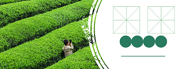 茶叶上新淘宝banner背景