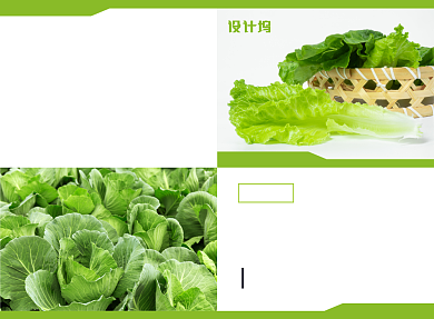 新鲜果蔬宣传广告印刷二折页背景