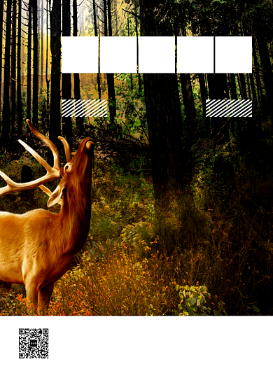 时尚简约公益世界森林日宣传海报背景