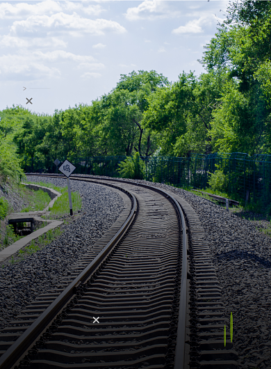 大气世界森林日印刷海报背景