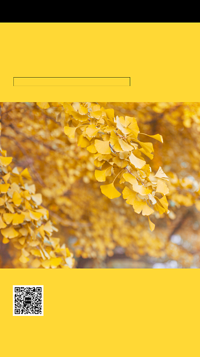 文艺小清新早安阳光日签宣传海报背景