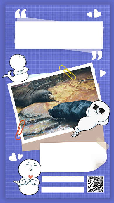 简约蓝色国际海豹日公益宣传手机海报背景