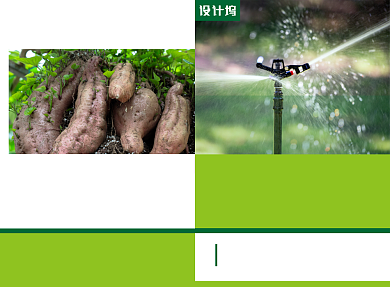 农业科技推广宣传广告印刷二折页背景