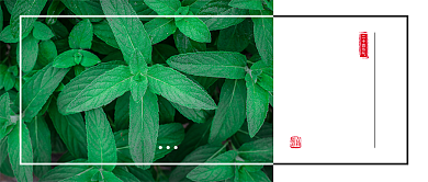 惊蛰节气公众号首图背景