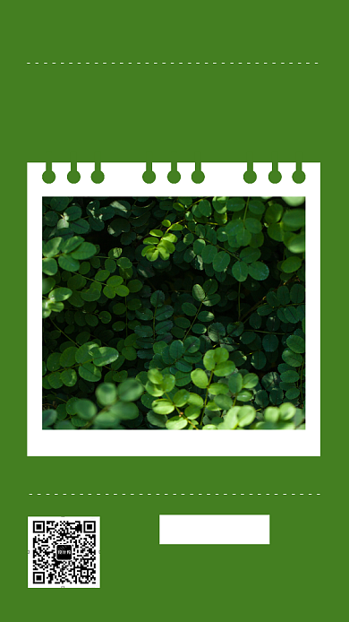 绿色植物摄影处暑手机海报背景