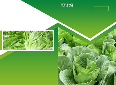 新鲜水果蔬菜宣传广告印刷二折页背景