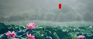 处暑夏季节气首图背景