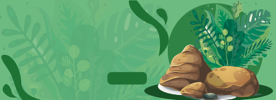 盆栽电商淘宝banner图背景
