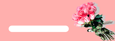 鲜花特价banner背景