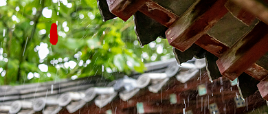 寒露九月节公众号首图背景