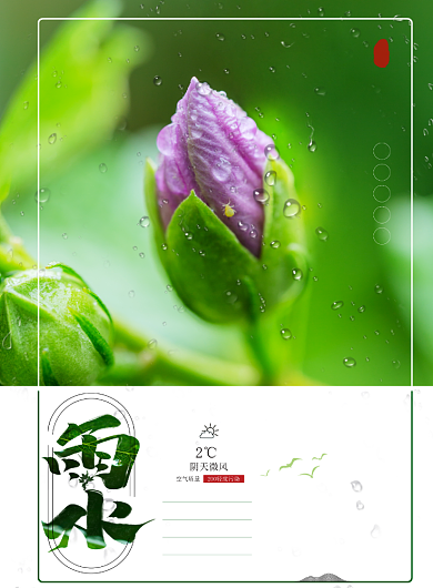 时尚雨水节气印刷海报背景