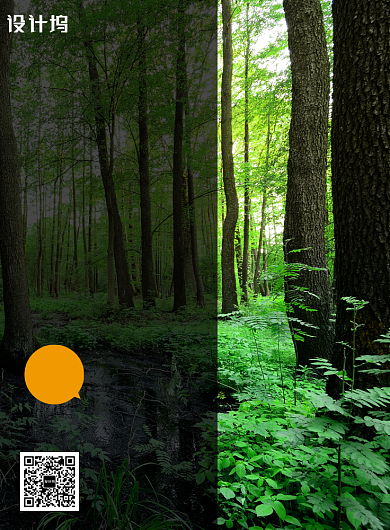 简约大气森林防火海报背景