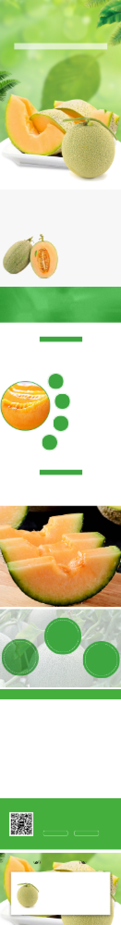绿色新疆哈密瓜电商淘宝详情页背景