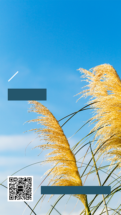 文艺简约11月早安问候日签宣传海报背景