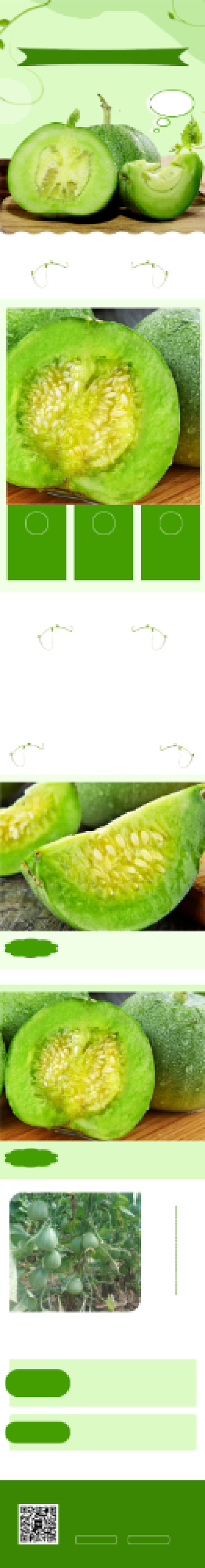 绿色调绿宝石香瓜电商详情页背景