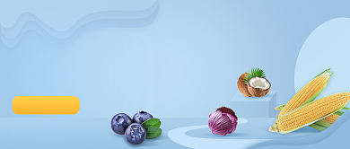 水果预售首图背景