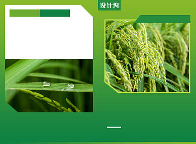 农业科技推广宣传广告印刷二折页背景