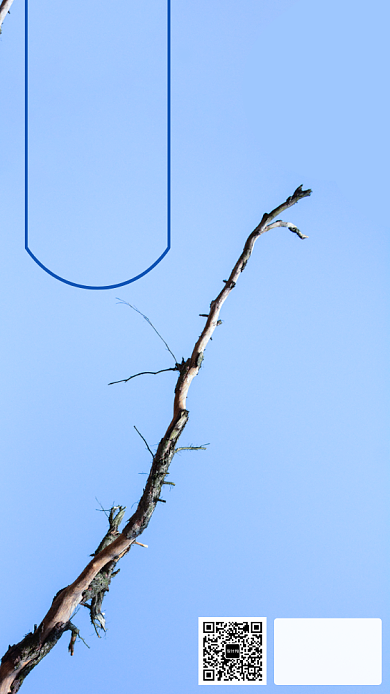 蓝色简约摄影图月签海报背景