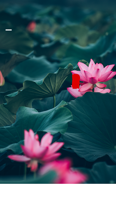 绿色小暑二十四节气手机海报背景